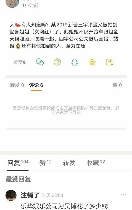 四个字的娱乐爆料,揭秘明星幕后故事  第3张