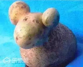 小羊最新爆料网站是什么,小羊最新爆料网站大起底! 第2张 小羊最新爆料网站是什么,小羊最新爆料网站大起底! 第2张