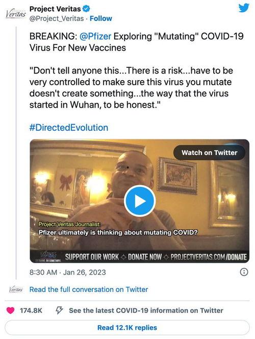 辉瑞高管爆料视频